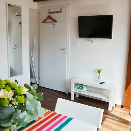 Hostal The Republic Garden